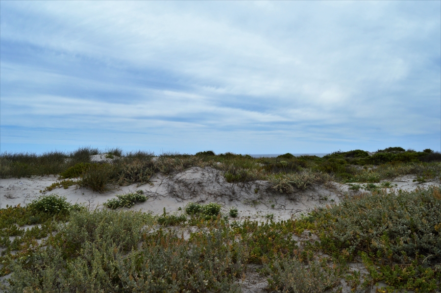 0 Bedroom Property for Sale in Shelley Point Western Cape